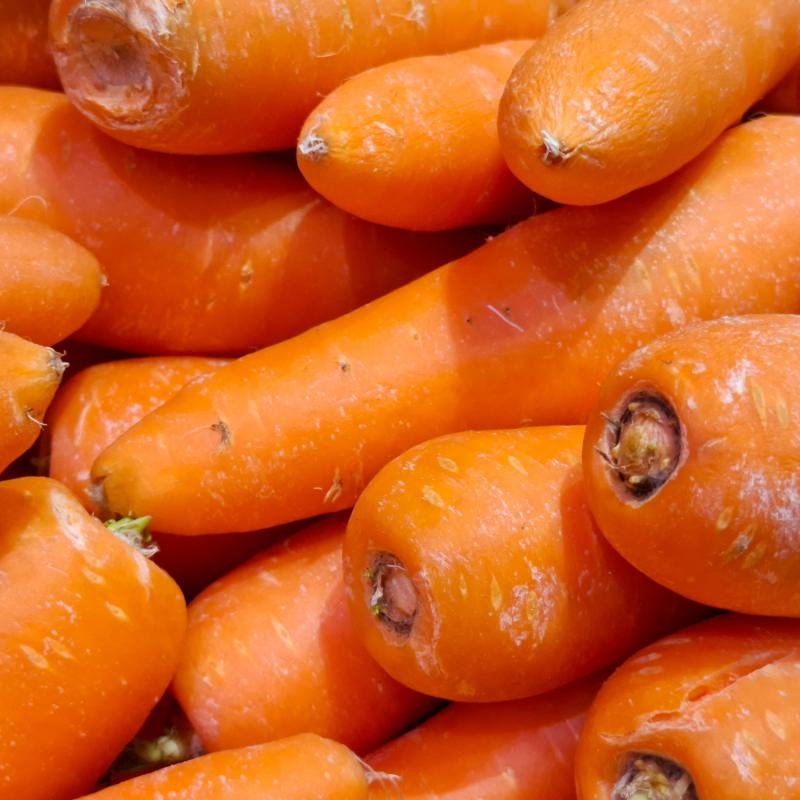 Carrot