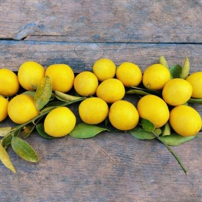 Nimbu (Lemon)